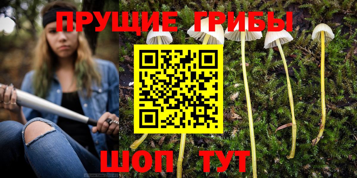 Псилоцибиновые грибы GOLDEN TEACHER Трёхгорный