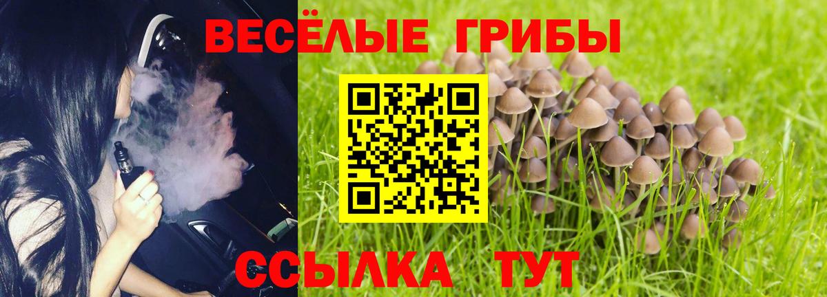 Трёхгорный  Псилоцибиновые грибы Magic Shrooms  Галлюциногенные грибы Psilocybe  где найти   Вход с VPN 